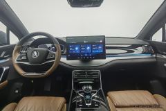 BYD Tang DM-i 1.5T 112KM Precursor Honorable Type - photo 14