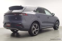 BYD Tang DM-i 1.5T 112KM Precursor Honorable Type - photo 2
