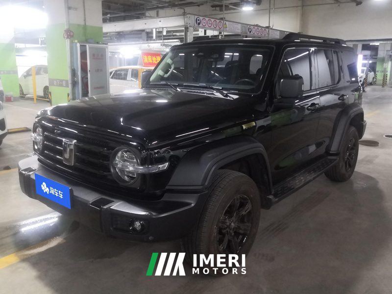 Tank 300 Off-Road Edition 2.0T Conqueror - ავტომობილი ჩინეთიდან