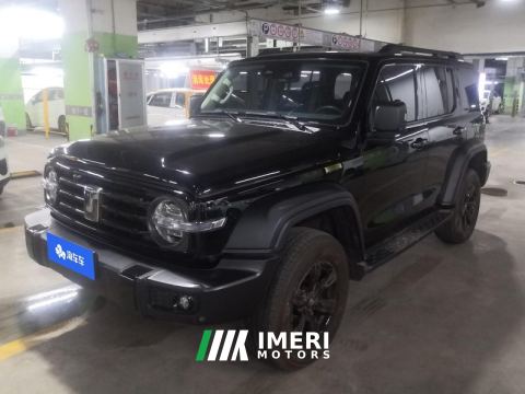 2021 Tank 300 Off-Road Edition 2.0T Conqueror - ავტომობილი ჩინეთიდან
