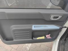 Geely Galaxy Panda mini 200km Endurance Bear - ფოტო 12