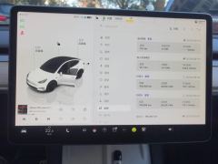 Tesla Model Y 615km Performance High-Performance AWD Version - фото 20