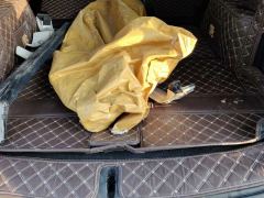 BYD Tang DM-i 1.5T 112KM Precursor Premium - photo 7