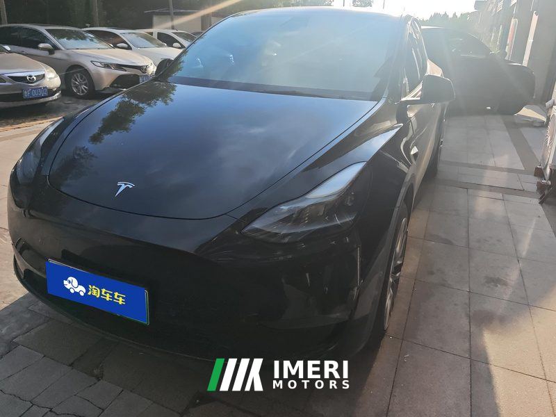 Tesla Model Y Standard endurance rear-wheel drive