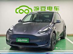 Tesla Model Y Long Range All-Wheel Drive - ფოტო 1
