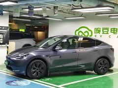 Tesla Model Y Long Range All-Wheel Drive - ფოტო 2