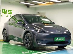 Tesla Model Y Long Range All-Wheel Drive - ფოტო 5