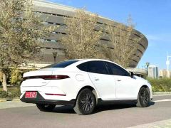BYD Qin PLUS EV Smart Driving Edition 510km Elite Edition - фото 7
