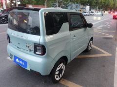 Geely Galaxy Panda mini 210km Yuanqi Bear - photo 2