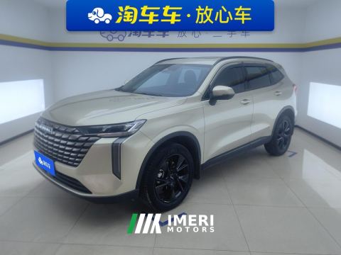 2024 Haval H6 2.0T Two-Wheel Drive Max