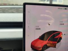 Tesla Model Y L 751km Long Range AWD - photo 19