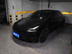 Tesla Model 3 Standard Range Edition 3D6 - photo 1