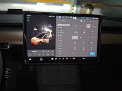 Tesla Model 3 Standard Range Edition 3D6 - photo 17