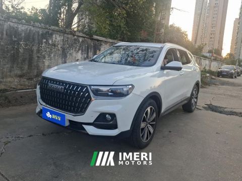 2023 Haval H6 Guochao Edition 1.5T 2WD Champion Edition