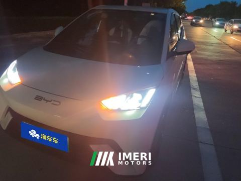 2023 BYD Seagull 305km Free Version