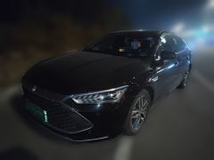 BYD Qin PLUS DM-i 55km Flagship - ფოტო 1