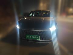 BYD Qin PLUS DM-i 55km Flagship - ფოტო 2