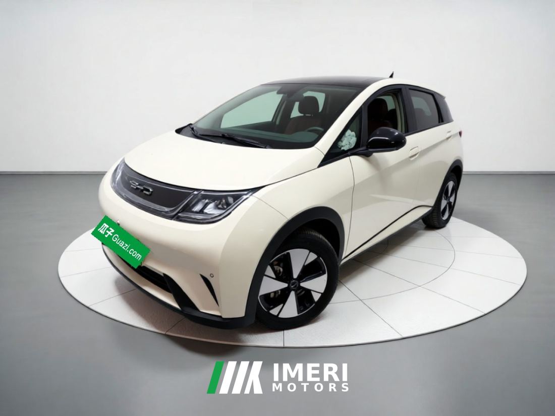 BYD Dolphin 420km Stylish Edition - car from China