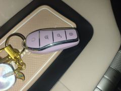 BYD Dolphin 420km Stylish Edition - photo 9