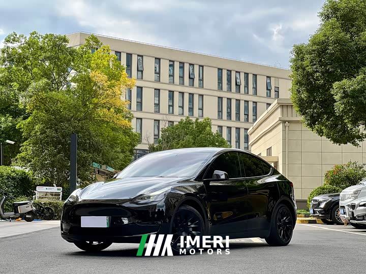 Tesla Model Y Standard Range RWD - автомобиль из Китая