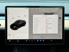 Tesla Model Y Standard Range RWD - фото 12
