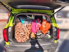 Haval Cool Dog 1.5T 2WD Edition - ფოტო 15