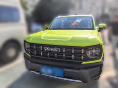Haval Cool Dog 1.5T 2WD Edition - ფოტო 2