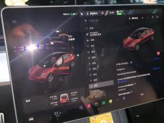 Tesla Model 3 556km Rear-Wheel Drive Edition - photo 20