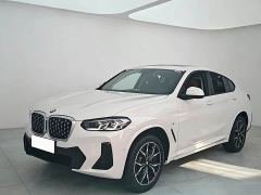 BMW X4 xDrive 25i M Sport Package - фото 1