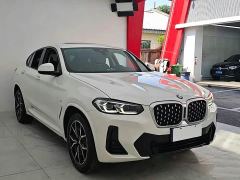 BMW X4 xDrive 25i M Sport Package - фото 3
