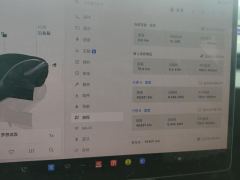 Tesla Model 3 634km Rear-Wheel Drive Edition - ფოტო 20