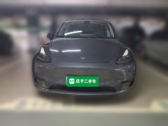Tesla Model Y 545km Rear-Wheel Drive Edition - ფოტო 2