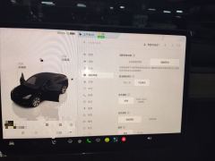 Tesla Model Y 545km Rear-Wheel Drive Edition - ფოტო 20
