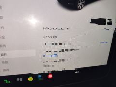 Tesla Model Y 545km Rear-Wheel Drive Edition - ფოტო 8