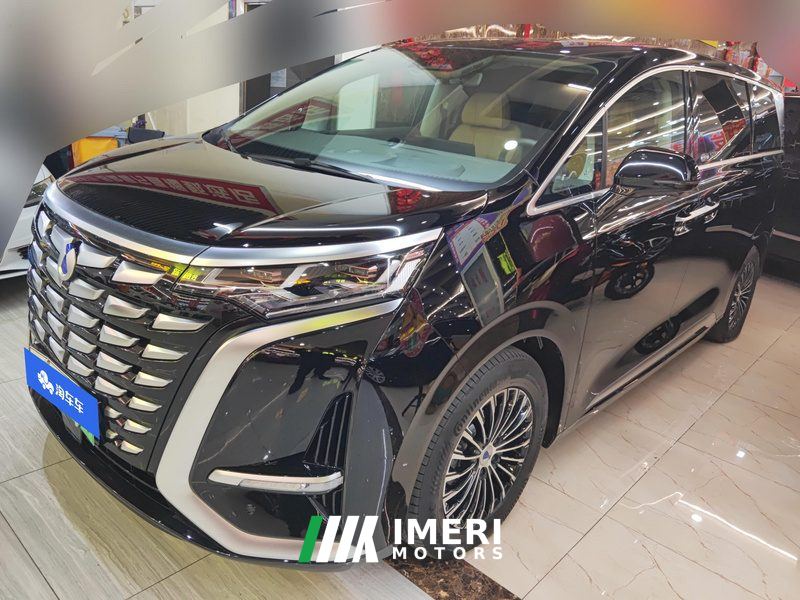 Denza D9 DM-i 1.5T 180km AWD Version 7 - ავტომობილი ჩინეთიდან