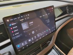 Denza D9 DM-i 1.5T 180km AWD Version 7 - ფოტო 17