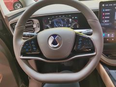 Denza D9 DM-i 1.5T 180km AWD Version 7 - ფოტო 18