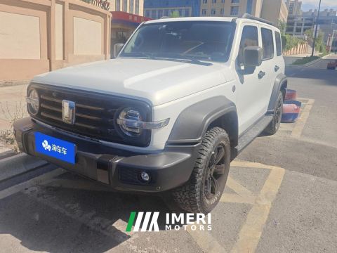 2021 Tank 300 Off-Road Edition 2.0T Conqueror - car from China
