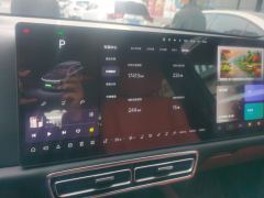 Li Auto L9 Pro - ფოტო 20