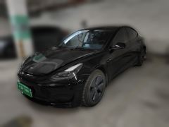 Tesla Model 3 556km Rear-Wheel Drive Edition - photo 1