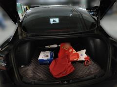 Tesla Model 3 556km Rear-Wheel Drive Edition - photo 15