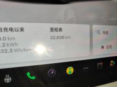 Tesla Model 3 556km Rear-Wheel Drive Edition - photo 8
