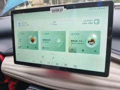 BYD Yuan PLUS 430KM Prestigious Edition - ფოტო 20