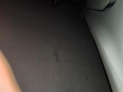 BYD Qin PLUS DM-i 1.5L 55km Pilot Glory Edition - photo 11