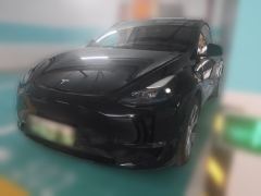Tesla Model Y Standard endurance rear-wheel drive - photo 1