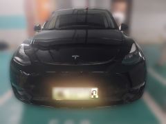 Tesla Model Y Standard endurance rear-wheel drive - photo 2