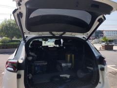 BYD Tang DM-i 1.5T 112KM Precursor Premium - photo 7