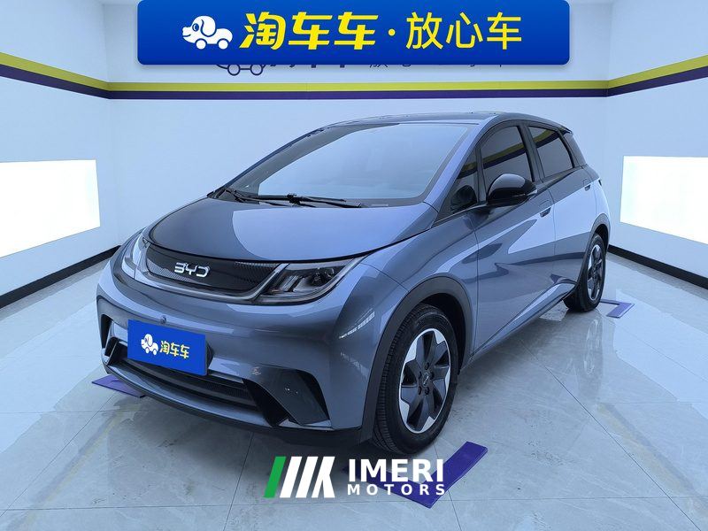 BYD Dolphin 420km Free Version - ავტომობილი ჩინეთიდან