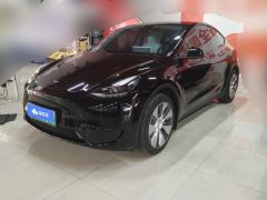 Tesla Model Y 545km Rear-Wheel Drive Edition - ფოტო 1