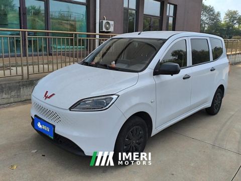 2025 Wuling Hongguang EV EREV 50km Practical 5-seater - car from China